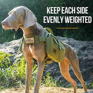 Hiking/Travel Backpack for Dogs (sz L)